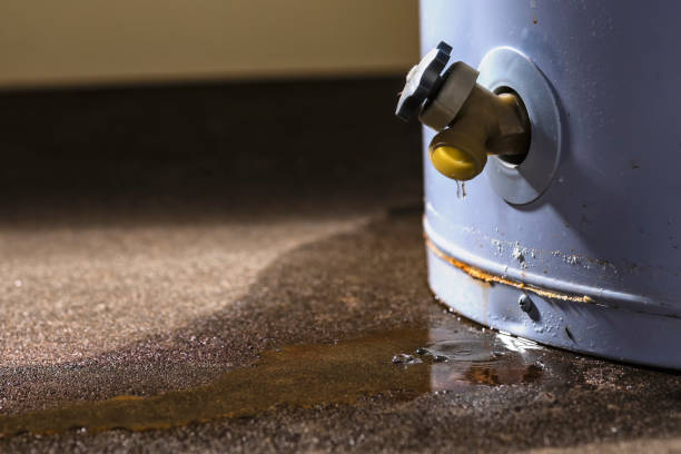 Best Water damage contractors near me  in Pendergrass, GA