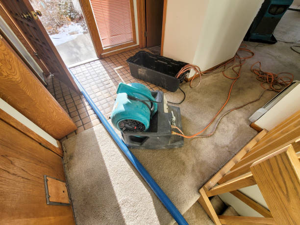 Best Professional water damage repair  in Pendergrass, GA