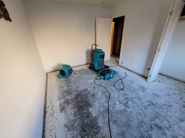 Best Local water damage restoration  in Pendergrass, GA