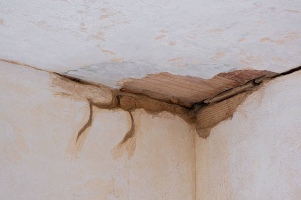 Best Basement water damage restoration  in Pendergrass, GA