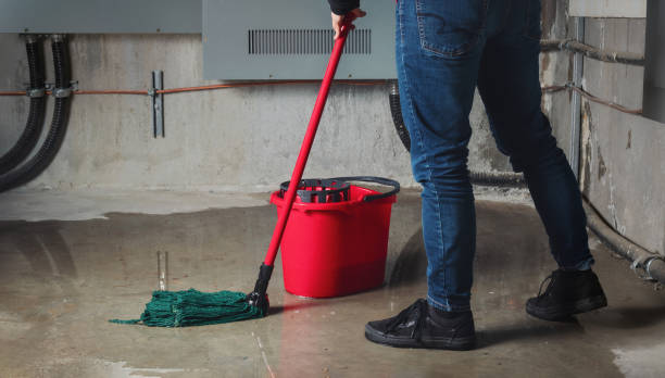Best Mold removal after water damage  in Pendergrass, GA