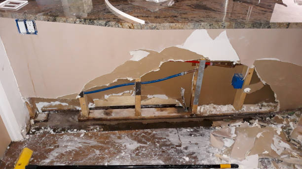 Best Ceiling water damage repair  in Pendergrass, GA