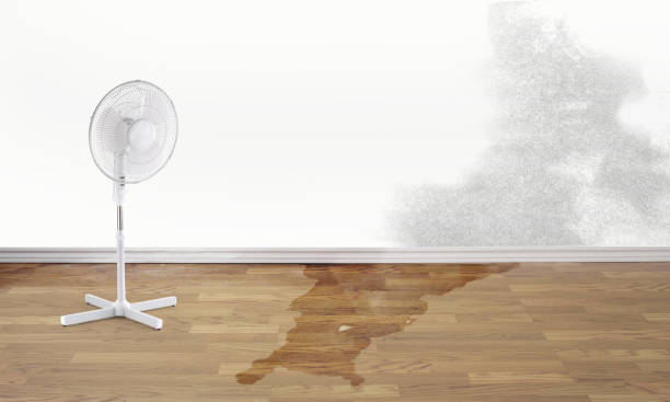 Best 24-hour water damage restoration  in Pendergrass, GA