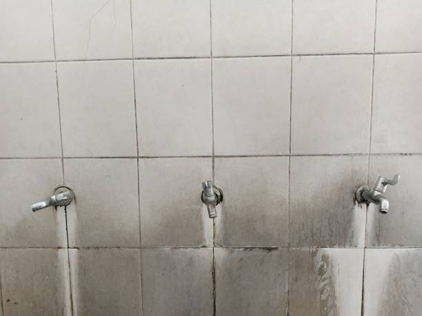 Best Fire Damage Restoration  in Pendergrass, GA