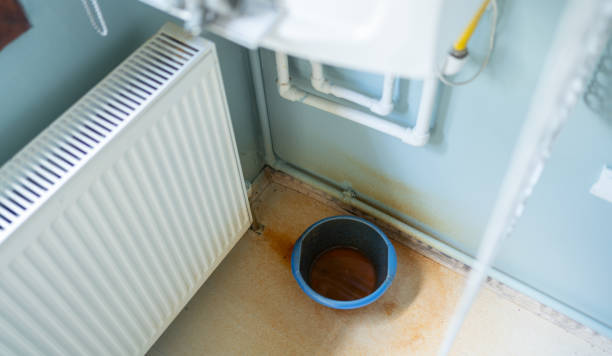 Best Flood restoration services  in Pendergrass, GA