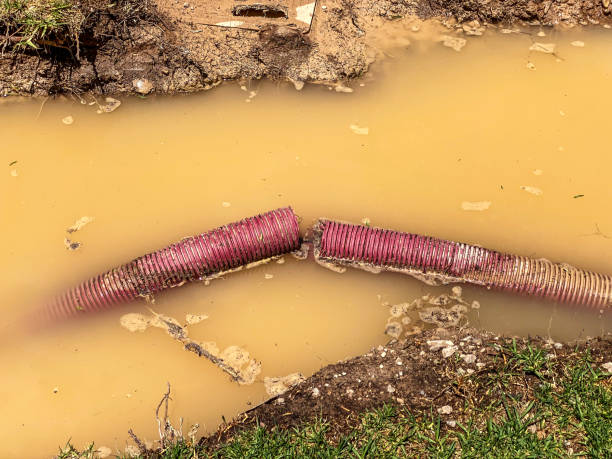 Best Water damage cleanup near me  in Pendergrass, GA