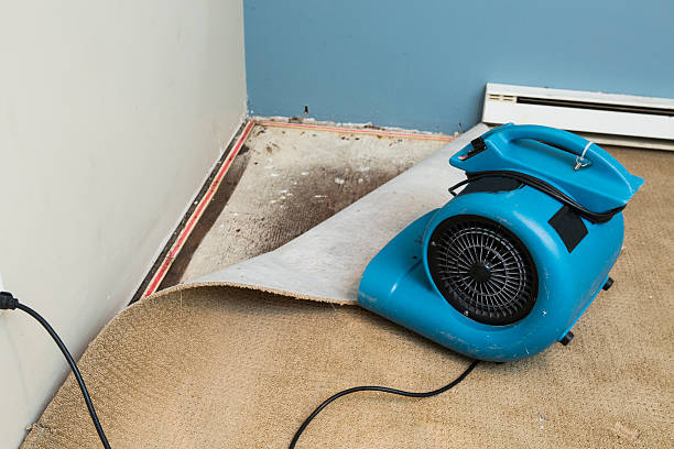 Best Water damage restoration insurance claims  in Pendergrass, GA